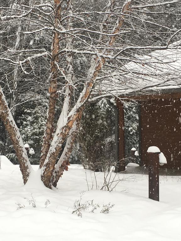 The Fern Lodge Chestertown Esterno foto