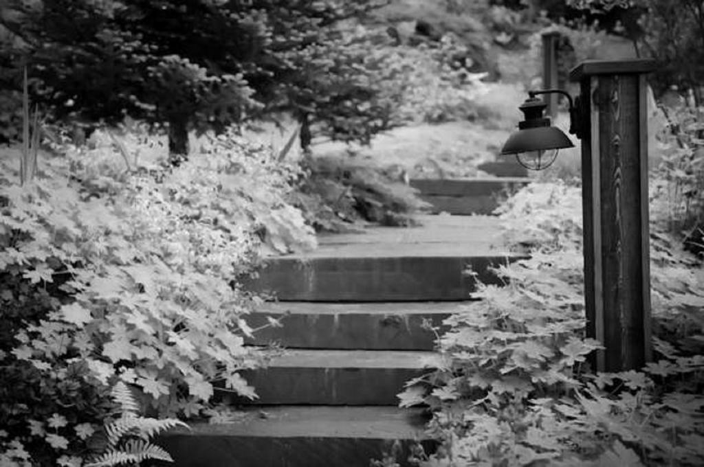 The Fern Lodge Chestertown Esterno foto