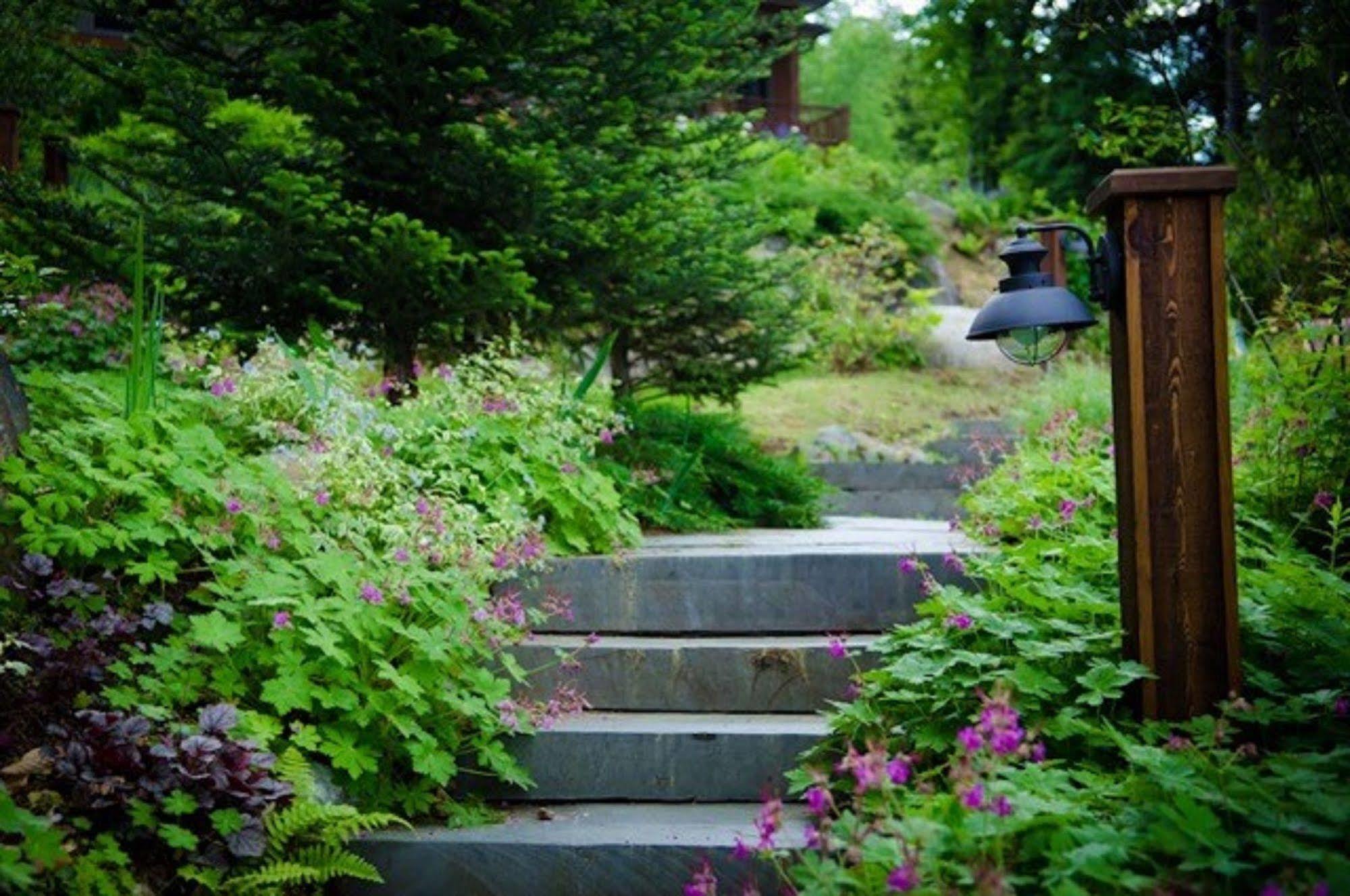 The Fern Lodge Chestertown Esterno foto