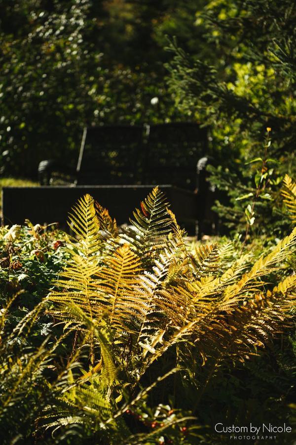 The Fern Lodge Chestertown Esterno foto